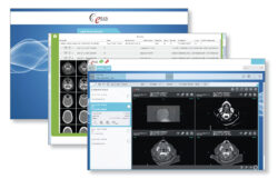 eRAD PACS Classic Edition example of user interface in multiple windows