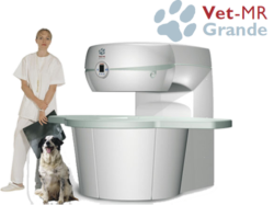 Vet MRI